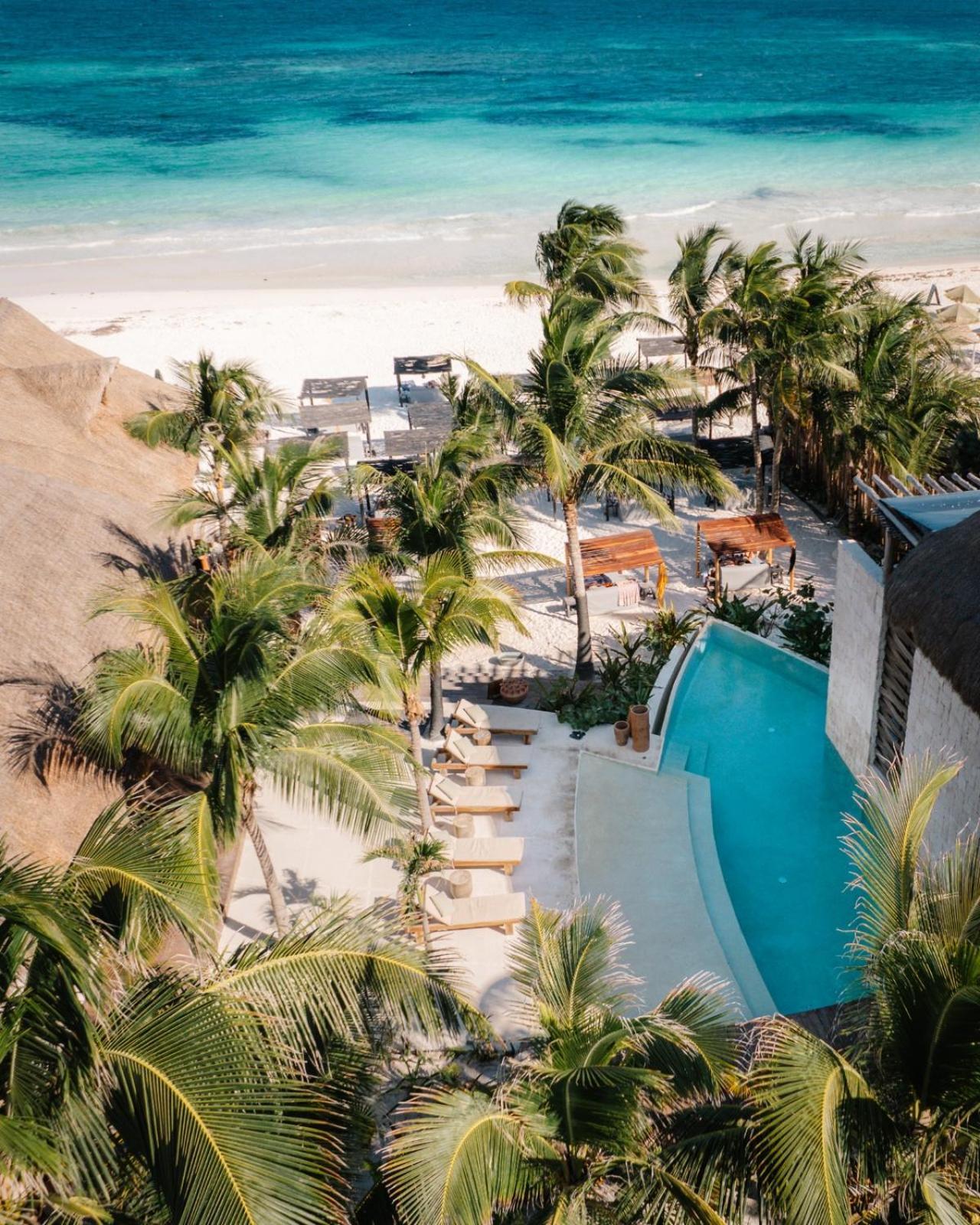 Gulliver Condo - Free Beach Club Access & Bikes Tulum Exteriör bild